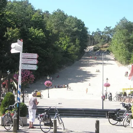 Le Perroquet